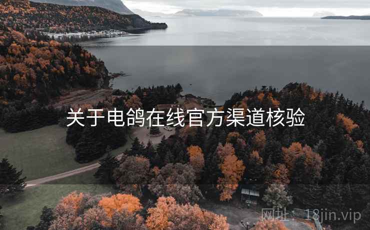 关于电鸽在线官方渠道核验