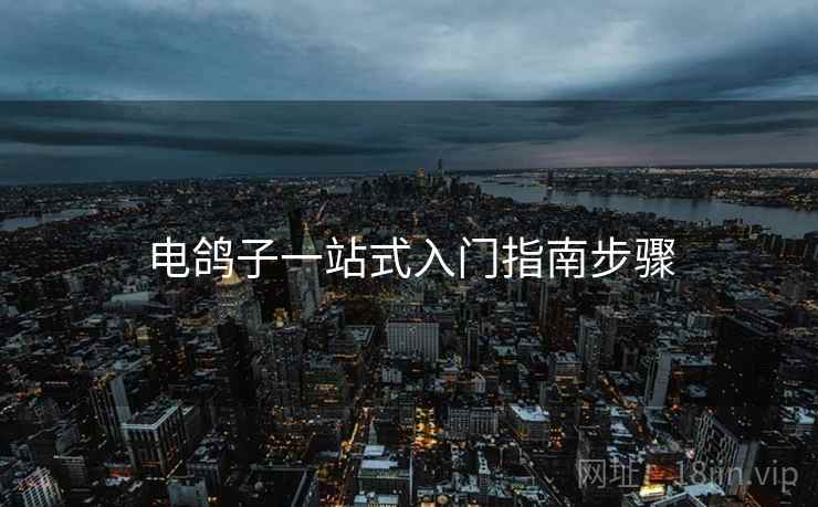 电鸽子一站式入门指南步骤