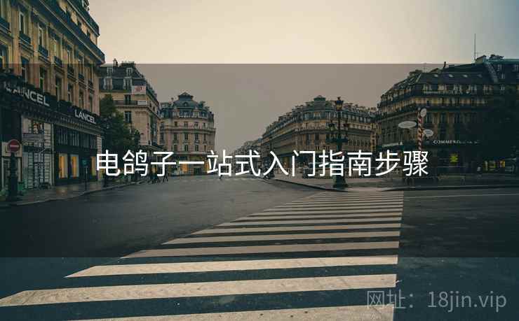 电鸽子一站式入门指南步骤