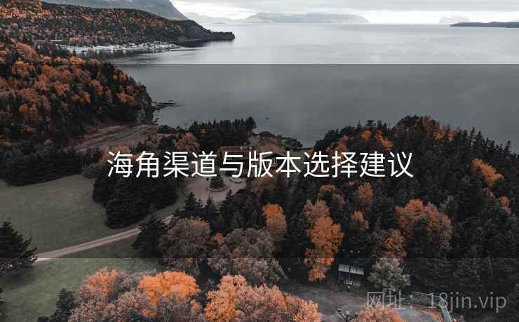 海角渠道与版本选择建议