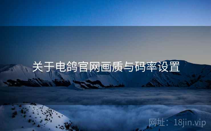 关于电鸽官网画质与码率设置