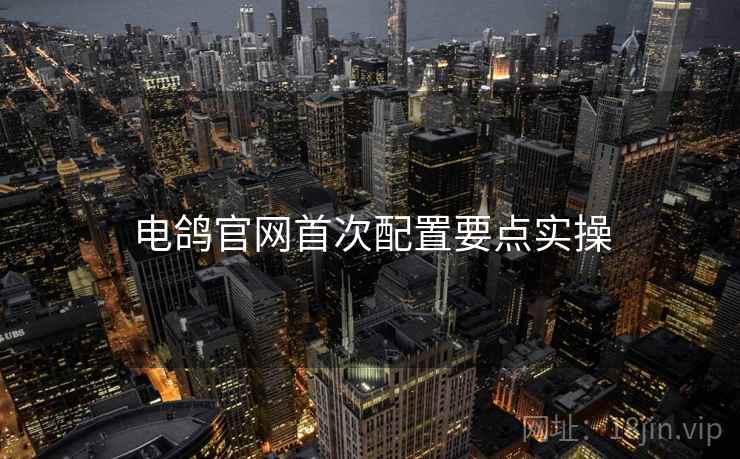电鸽官网首次配置要点实操