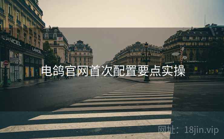 电鸽官网首次配置要点实操