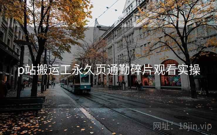 p站搬运工永久页通勤碎片观看实操
