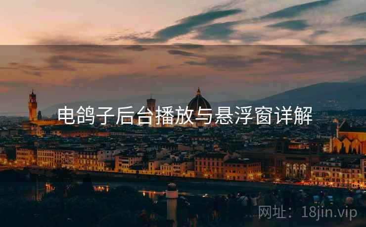 电鸽子后台播放与悬浮窗详解