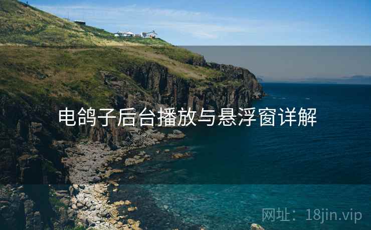 电鸽子后台播放与悬浮窗详解