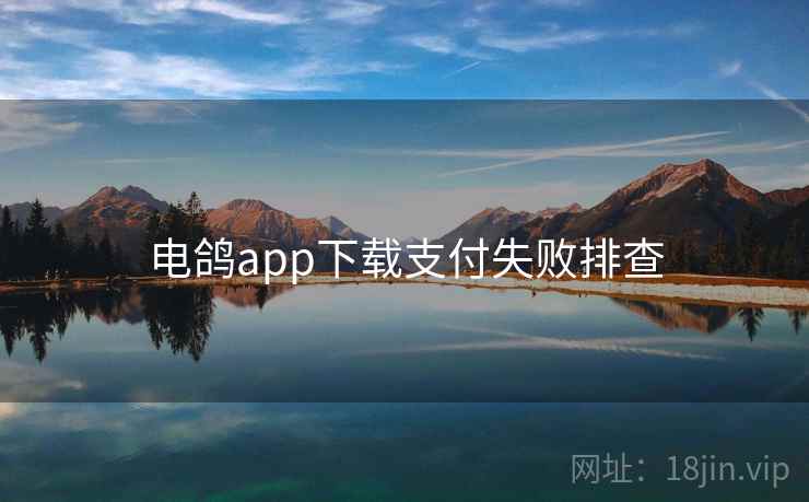 电鸽app下载支付失败排查