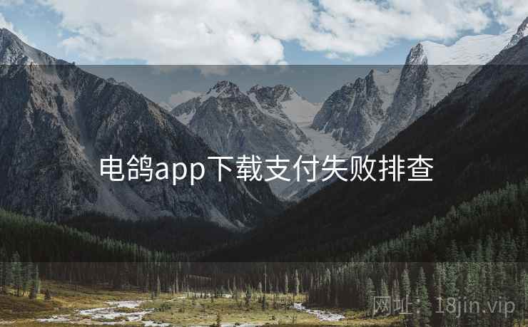 电鸽app下载支付失败排查