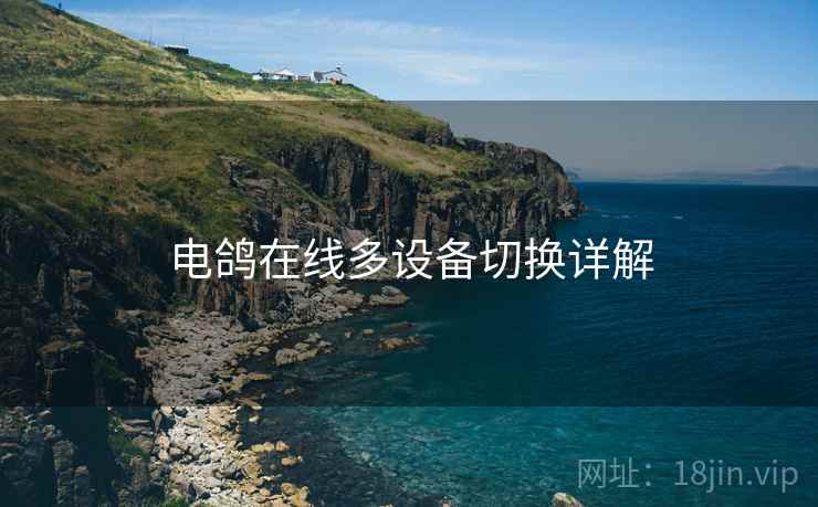 电鸽在线多设备切换详解