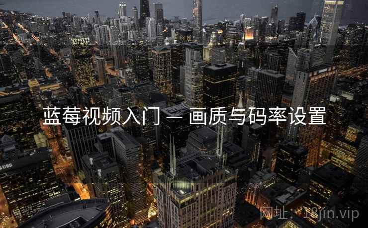 蓝莓视频入门 — 画质与码率设置