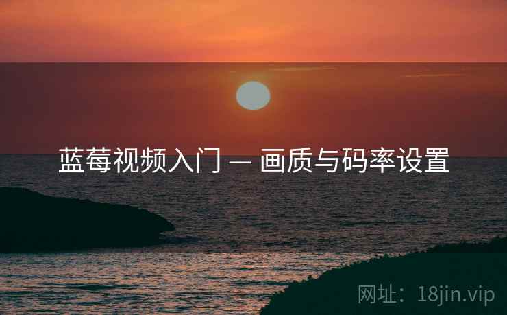 蓝莓视频入门 — 画质与码率设置