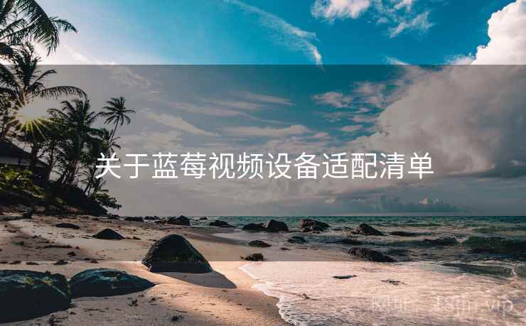 关于蓝莓视频设备适配清单