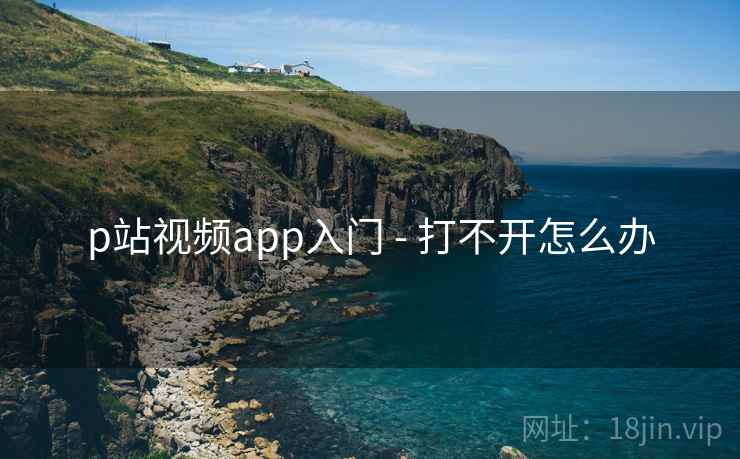 p站视频app入门 - 打不开怎么办