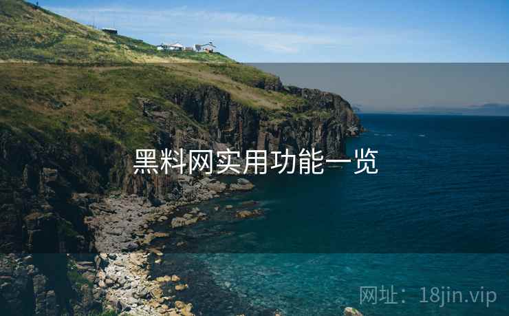 黑料网实用功能一览