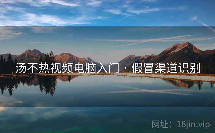 汤不热视频电脑入门 · 假冒渠道识别