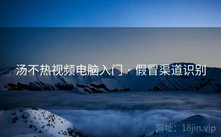 汤不热视频电脑入门 · 假冒渠道识别