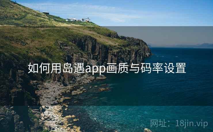 如何用岛遇app画质与码率设置