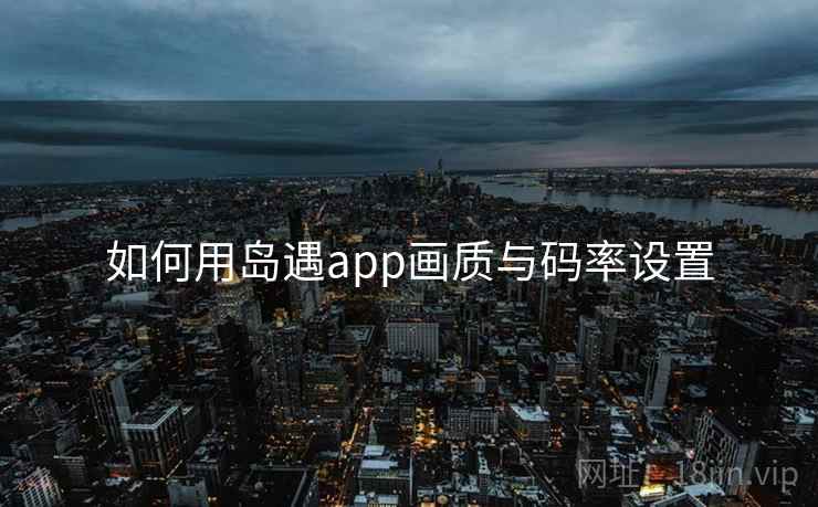 如何用岛遇app画质与码率设置