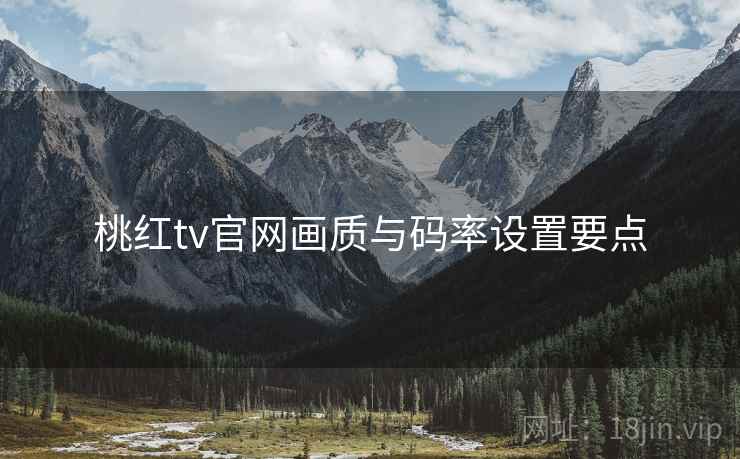 桃红tv官网画质与码率设置要点