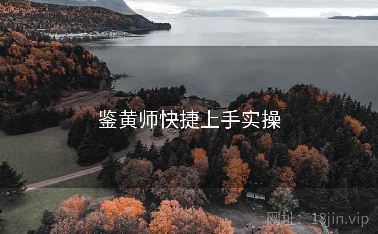 鉴黄师快捷上手实操