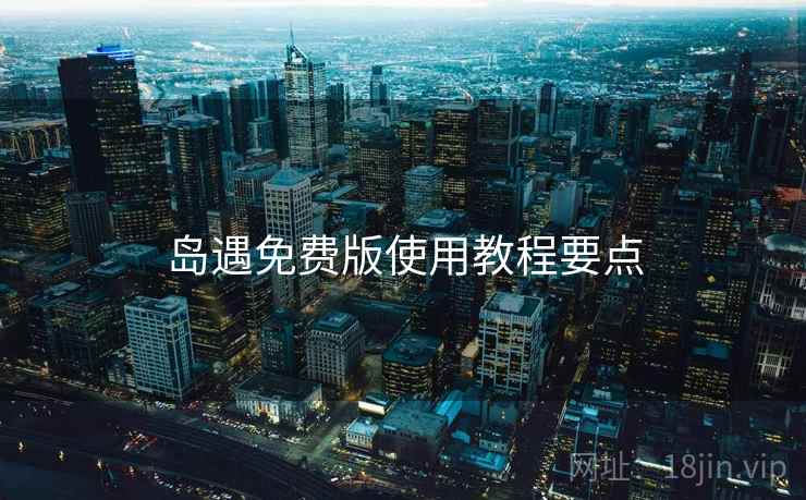 岛遇免费版使用教程要点