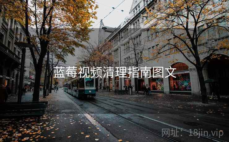 蓝莓视频清理指南图文