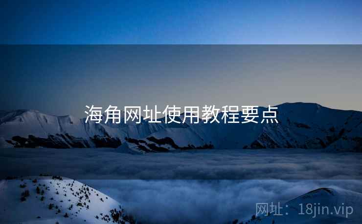 海角网址使用教程要点