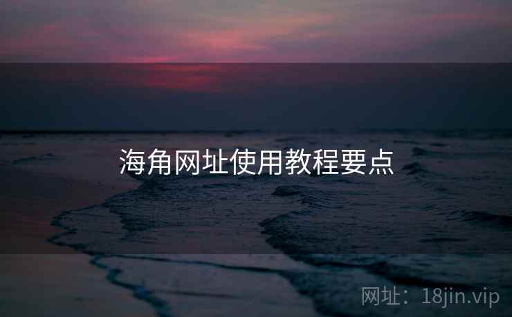 海角网址使用教程要点