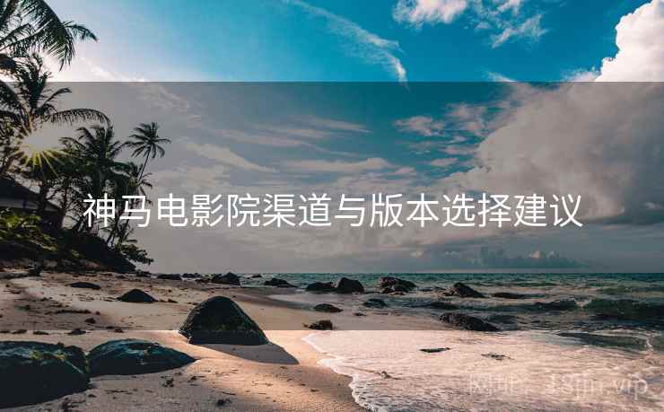 神马电影院渠道与版本选择建议