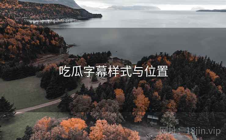 吃瓜字幕样式与位置