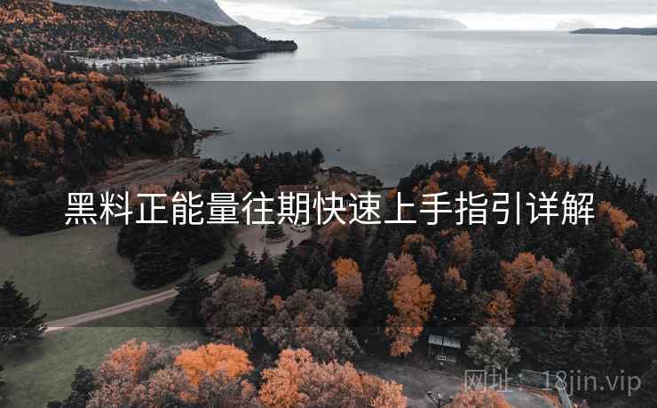 黑料正能量往期快速上手指引详解