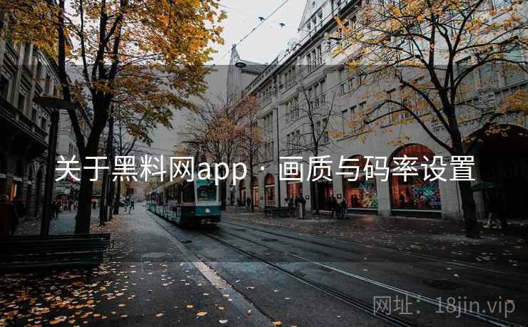 关于黑料网app · 画质与码率设置